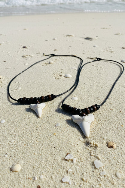Shark Tooth Pendant & Cord