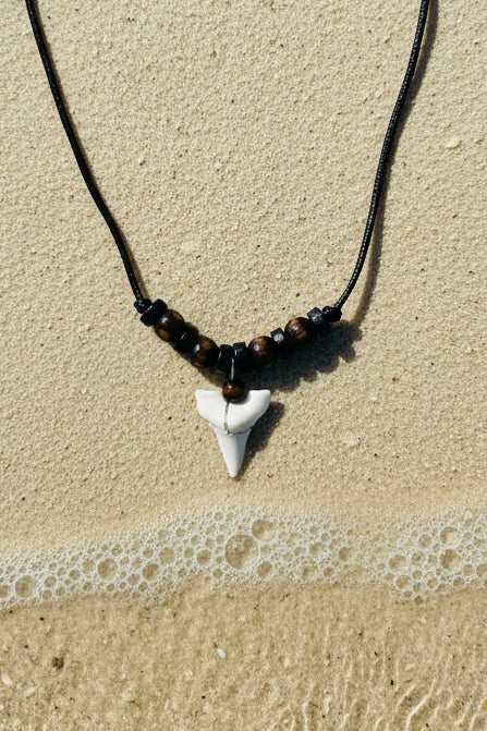 Shark Tooth Pendant & Cord