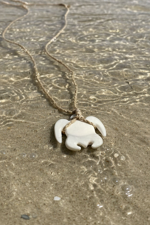 Turtle Sinahi