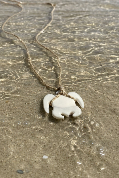 Turtle Sinahi